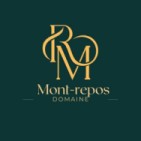 logo dmr3
